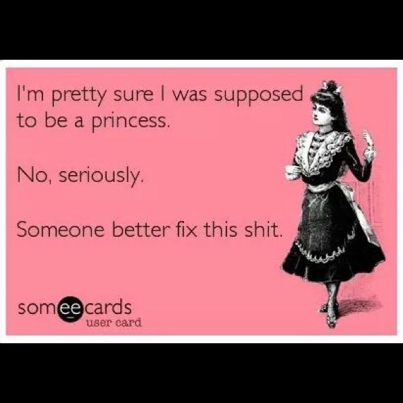 Meet the Posher - Picture 2 of 2